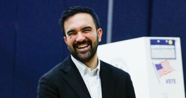 Opinion: Leftist election landslide caused by vile disease in America