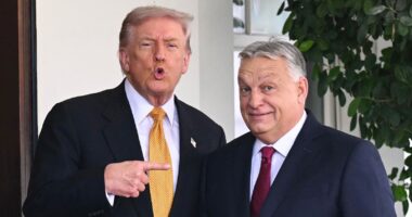 Orbán Says Trump Administration Will Help If Hungarian Currency Comes Under Attack