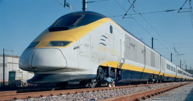 Pain for Reeves as taxes force Tunnel firm to axe ALL rail investment