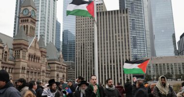 Palestinian flag is raised at Toronto's city hall