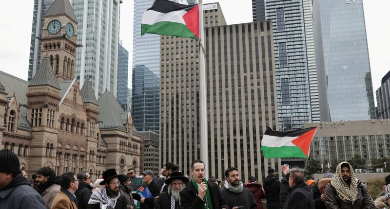 Palestinian flag is raised at Toronto's city hall