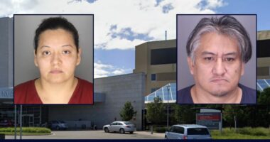 Parents nearly abused, starved young brothers to death: Cops