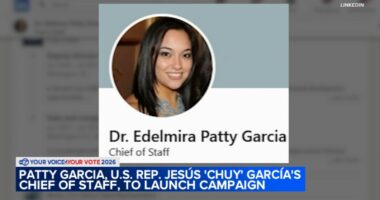 Patty García launches campaign for Illinois' 4th Congressional District after US Rep. Jesús 'Chuy' García's controversial exit