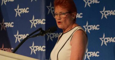 Pauline Hanson slams Albanese at Trump event in Florida