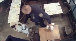 Pei-Yun Chung: 'Dine-and-dash diva' accused of skipping out on bills at high-end Brooklyn, New York City restaurants