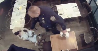 Pei-Yun Chung: 'Dine-and-dash diva' accused of skipping out on bills at high-end Brooklyn, New York City restaurants