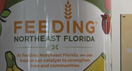'People are hurting:' Jacksonville City Council allocates $200K to Feeding Northeast Florida to help tackle food insecurity