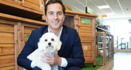 Pet tycoon's fireworks at £4m mansion results in horse being put down