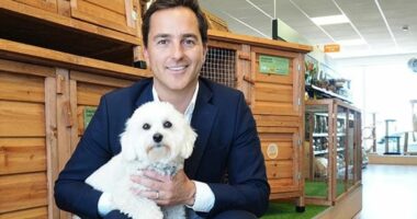 Pet tycoon's fireworks at £4m mansion results in horse being put down