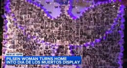 Pilsen, Chicago homeowner's annual Dia de los Muertos, or Day of the Dead, display draws visitors from across area