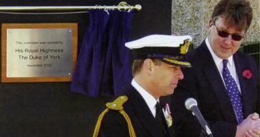 Plaques unveiled by Andrew on the Falkland Islands are removed