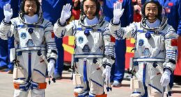 Plea for Elon Musk to rescue three astronauts stranded in space after 'unknown object' damaged their ship