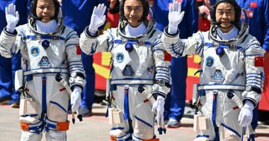 Plea for Elon Musk to rescue three astronauts stranded in space after 'unknown object' damaged their ship