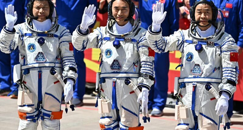 Plea for Elon Musk to rescue three astronauts stranded in space after 'unknown object' damaged their ship