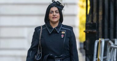 Police and Crime commissioners will be abolished by Labour