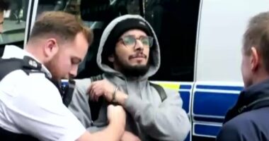 Police arrest Algerian sex offender who was released by mistake