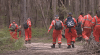 SES volunteers were part of a dedicated team searching Enfield State Park for traces of the missing mum.