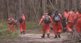 SES volunteers were part of a dedicated team searching Enfield State Park for traces of the missing mum.