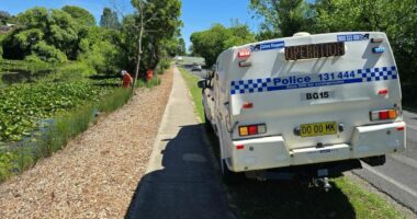 Police investigating Bega stabbing death scour wetlands