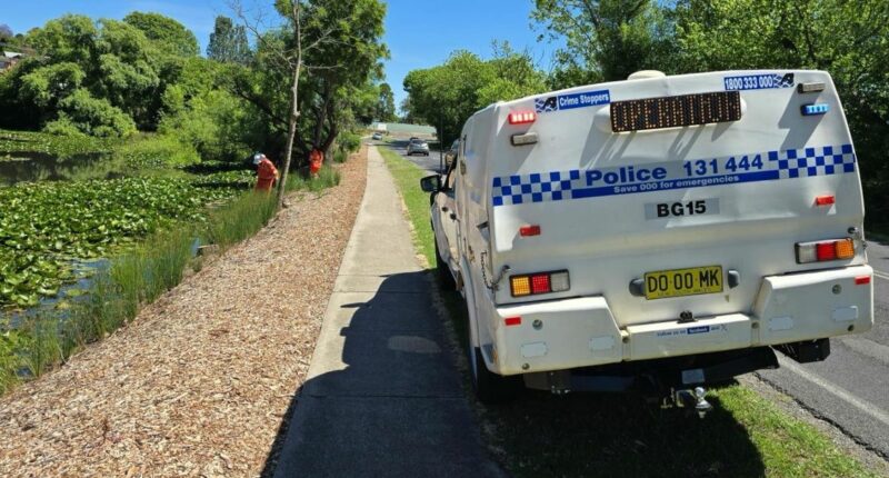 Police investigating Bega stabbing death scour wetlands