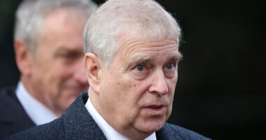 Police 'launch search for Andrew Mountbatten-Windsor officers' emails'