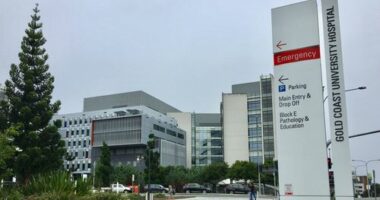 Gold Coast University Hospital, where a man is in a critical condition after allegedly being involved in a brawl that left another man dead in northern NSW.