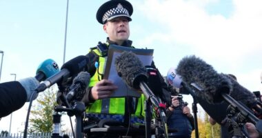 Police Superintendent John Loveless speaks to the media, holding papers, surrounded by microphones after a train stabbing incident.