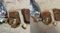 Police warn that multiple needles were found in 2025 Halloween candy in Kentucky