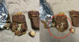 Police warn that multiple needles were found in 2025 Halloween candy in Kentucky