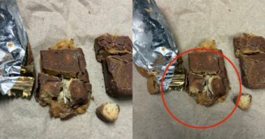Police warn that multiple needles were found in 2025 Halloween candy in Kentucky