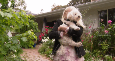 The 63-year-old's brave pet is now fighting for his own life.