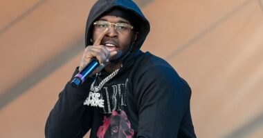 Celebrity Net Worth logo