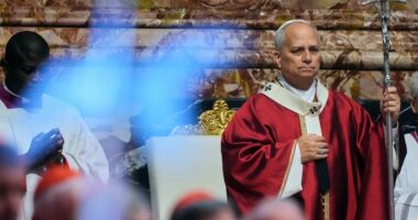 Pope Leo calls for 'deep reflection' about treatment of detained migrants in the United States