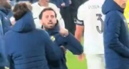 Portugal IMPLODE in Ireland: Furious Bernardo Silva and Ruben Dias clash with their own fans as boss Roberto Martinez blames opponents for Cristiano Ronaldo's violent red card