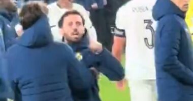 Portugal IMPLODE in Ireland: Furious Bernardo Silva and Ruben Dias clash with their own fans as boss Roberto Martinez blames opponents for Cristiano Ronaldo's violent red card