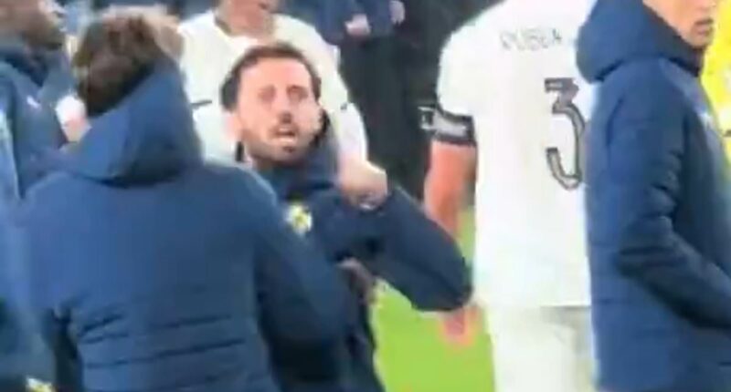 Portugal IMPLODE in Ireland: Furious Bernardo Silva and Ruben Dias clash with their own fans as boss Roberto Martinez blames opponents for Cristiano Ronaldo's violent red card