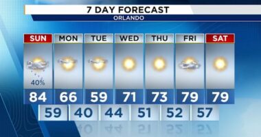 Possible strong storms, gusty winds in the Central Florida forecast before our big cold plunge