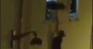 Pregnant woman seen dangling from Bataclan window breaks her silence