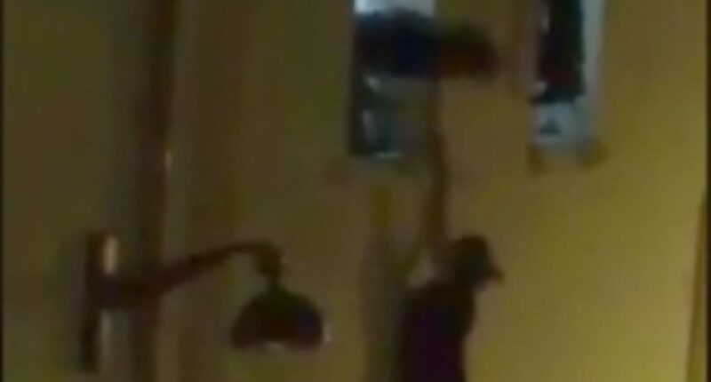 Pregnant woman seen dangling from Bataclan window breaks her silence