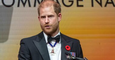 Prince Harry insists he did tell the Royal Family about trip to Toronto that clashed with William's climate visit to Brazil - but Palace sources claim no one in London got the memo
