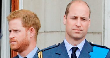 Prince Harry issues defiant statement as he denies claims he was trying to upstage William by announcing pseudo-royal Canada trip at same time as his brother's five-day tour of Brazil