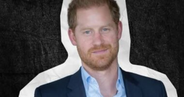 Prince Harry will be keynote speaker at £270-a-head event in Canada