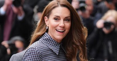 Princess of Wales visits the Anna Freud Centre to launch new project