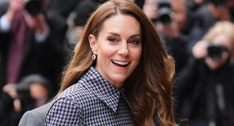 Princess of Wales visits the Anna Freud Centre to launch new project