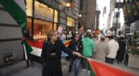 Protesters storm Fifth Avenue store amid Black Friday shopping frenzy
