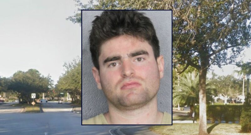 Public defender strangled, spit on pregnant girlfriend: Cops