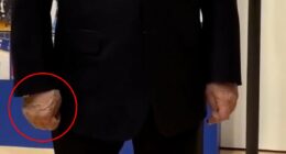 Putin's HANDSHAKE with health expert sparks new debate over wellbeing