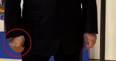 Putin's HANDSHAKE with health expert sparks new debate over wellbeing