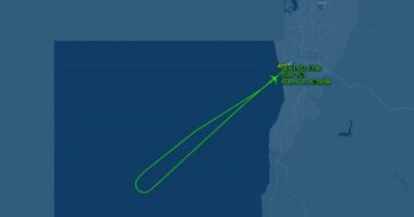 QantasLink flight turns back minutes after take-off in Adelaide