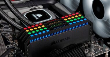 RAM prices are so out of control that stores are selling it like lobster